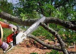 Lawn Watering Services in Martin, SD